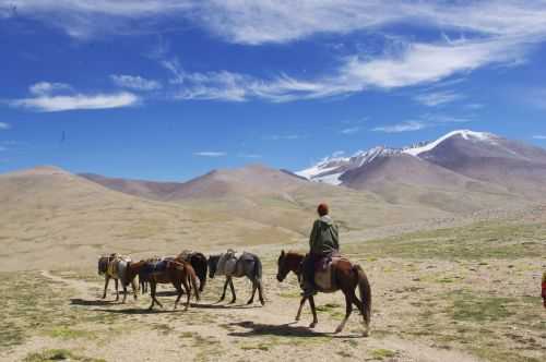 TREKKING IN LADAKH | CHANGTANG 2017